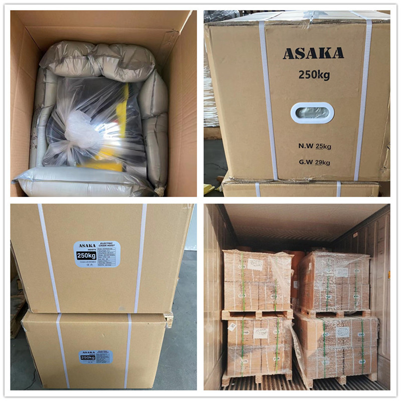 ASAKA Handheld Inverter Chain Hoist 125kg 250kg 500kg 1000kg ASAKA Handheld Inverter Chain Hoist 125kg 250kg 500kg 1000kg